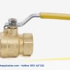 Van bi đồng gas tay gạt MIHA - PN30